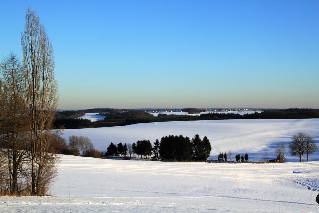 Ferienwohnungen Eifelblick Lutzerath Экстерьер фото